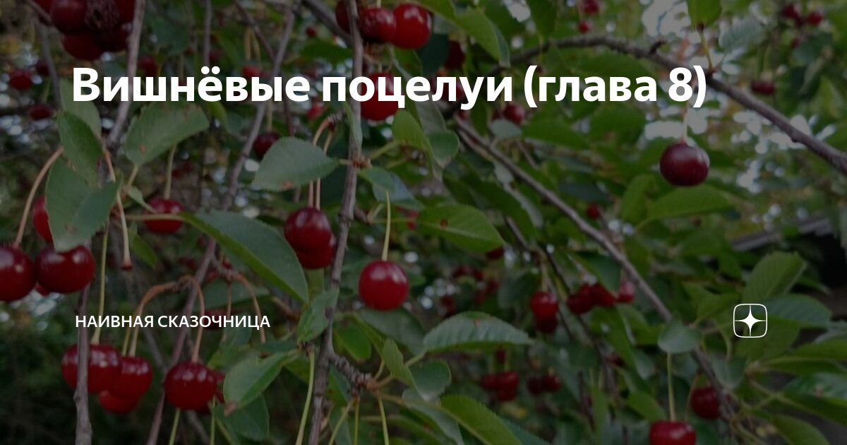 Вишнёвые поцелуи (глава 8) | Наивная сказочница | Дзен