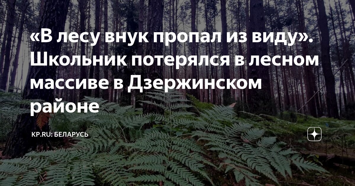 В лесу у сереги дзержинск