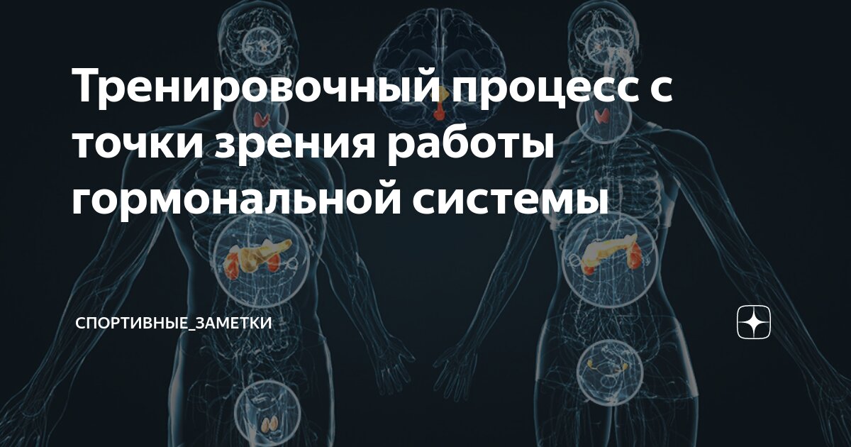 Тренировочный процесс с точки зрения работы гормональной системы