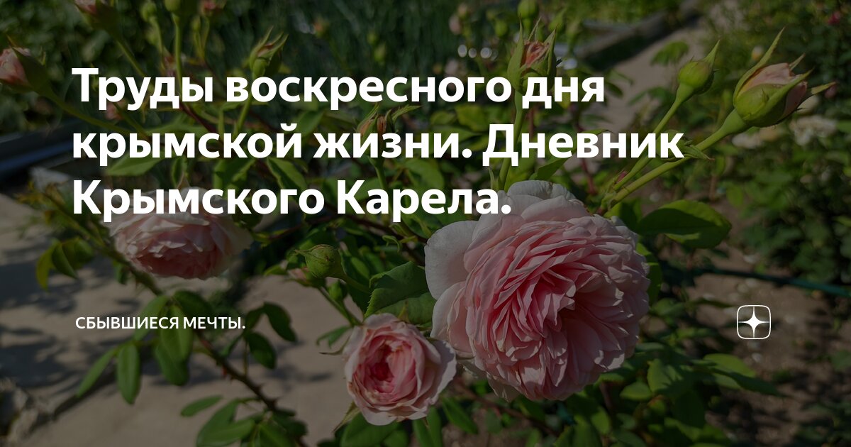 Труды воскресного дня крымской жизни. Дневник Крымского Карела ...