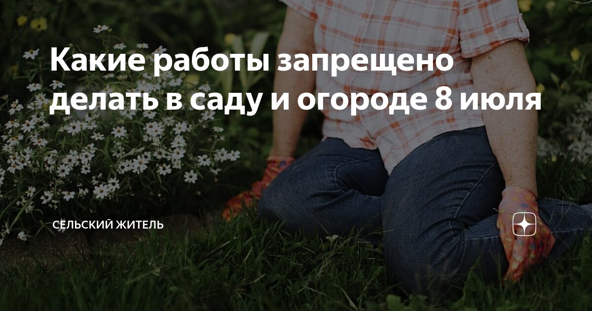 Какие работы запрещено делать в саду и огороде 8 июля | Сельский Житель