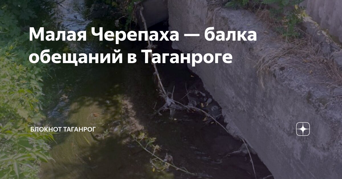 Малая Черепаха — балка обещаний в Таганроге | Блокнот Таганрог | Дзен