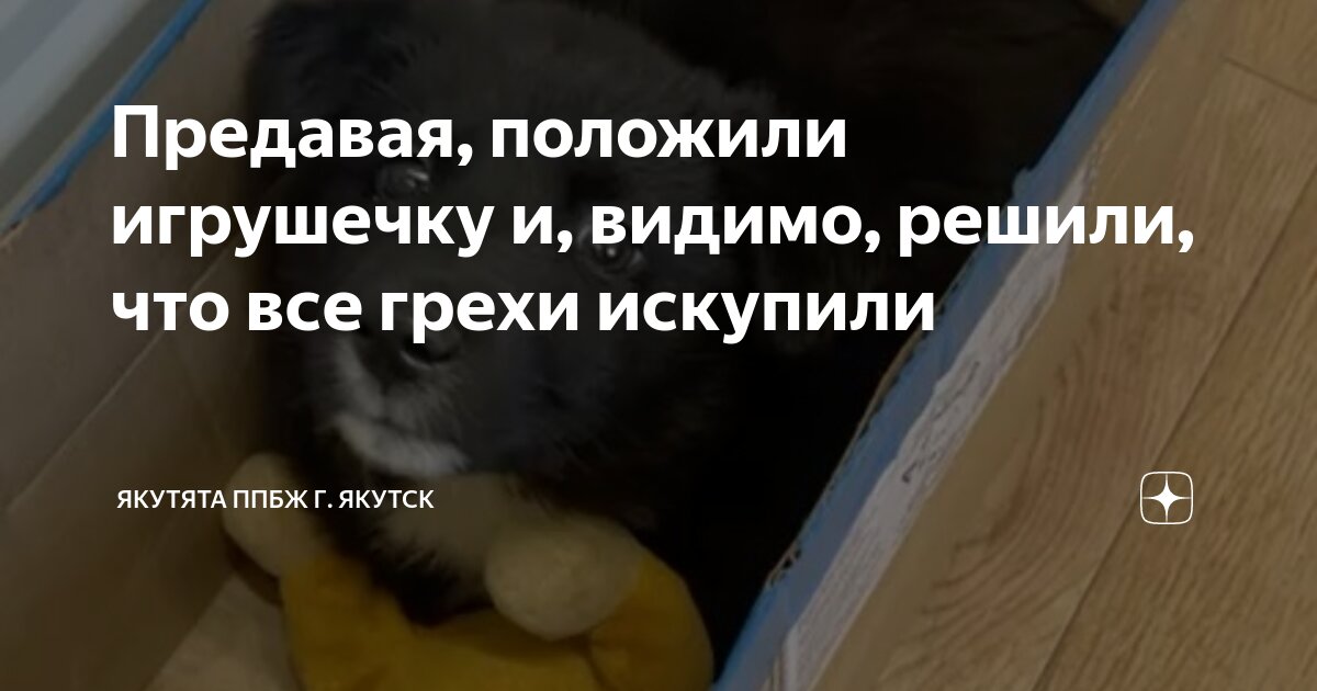 Предавая, положили игрушечку и, видимо, решили, что все грехи искупили ...