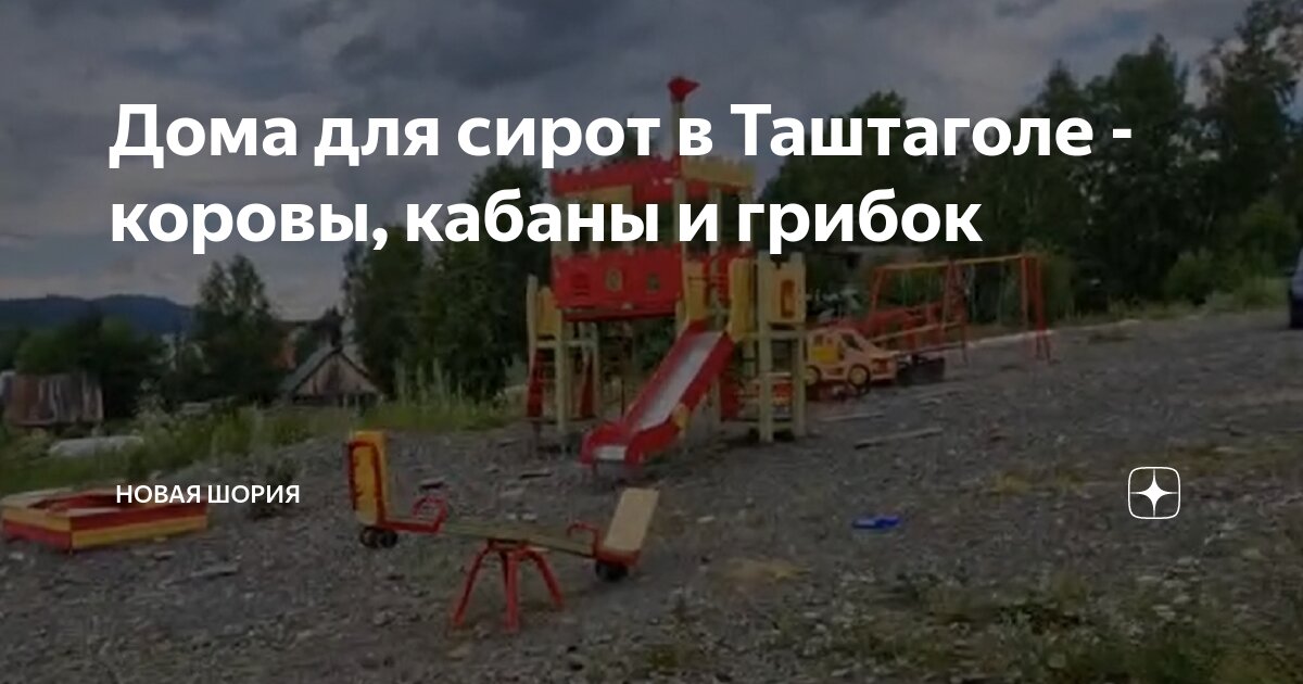 Дома для сирот в Таштаголе - коровы, кабаны и грибок | Новая Шория |Дзен