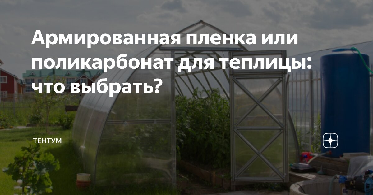 Армированная пленка или поликарбонат для теплицы: что выбрать? | Тентум ...