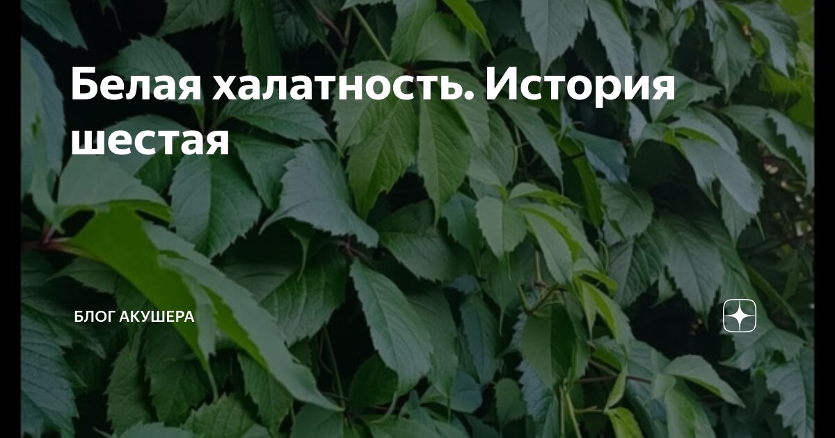 Белая халатность. История шестая | Блог акушера | Дзен
