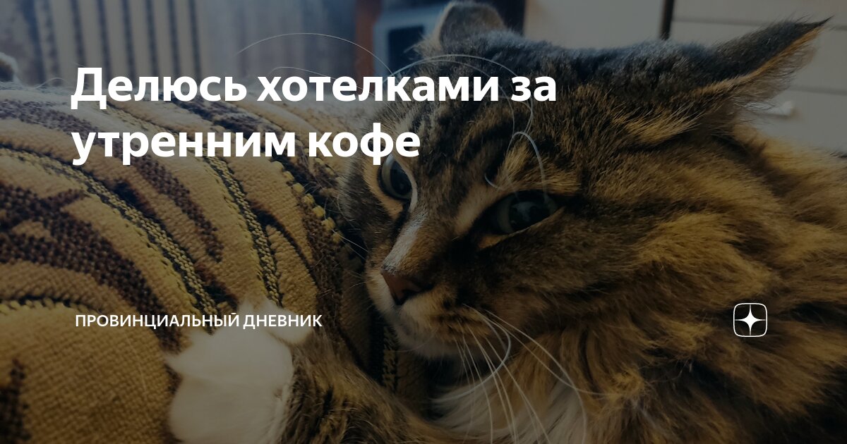 Делюсь хотелками за утренним кофе | Провинциальный дневник | Дзен