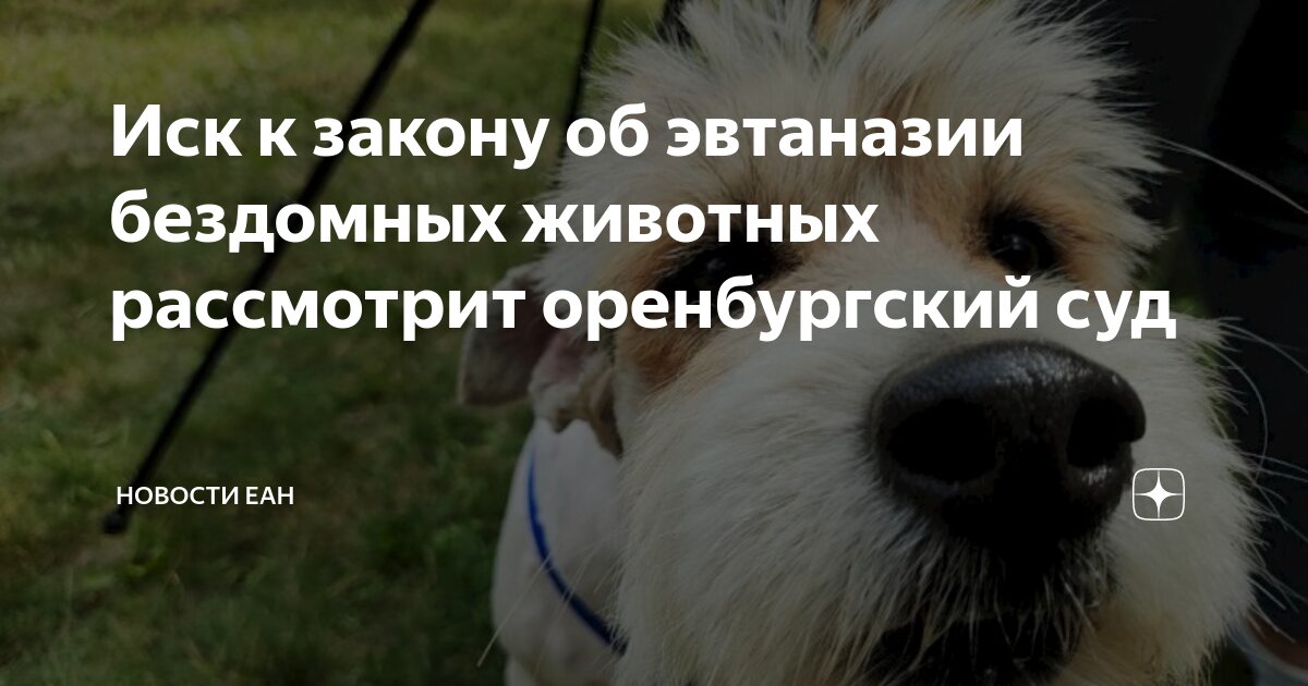 Закон об усыплении животных 2025