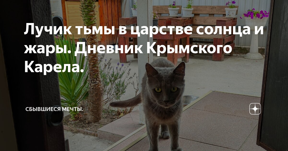 Лучик тьмы в царстве солнца и жары. Дневник Крымского Карела ...