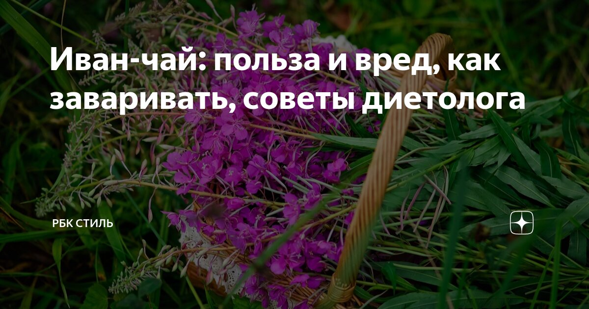 Иван-чай: польза и вред, как заваривать, советы диетолога | РБК Стиль ...