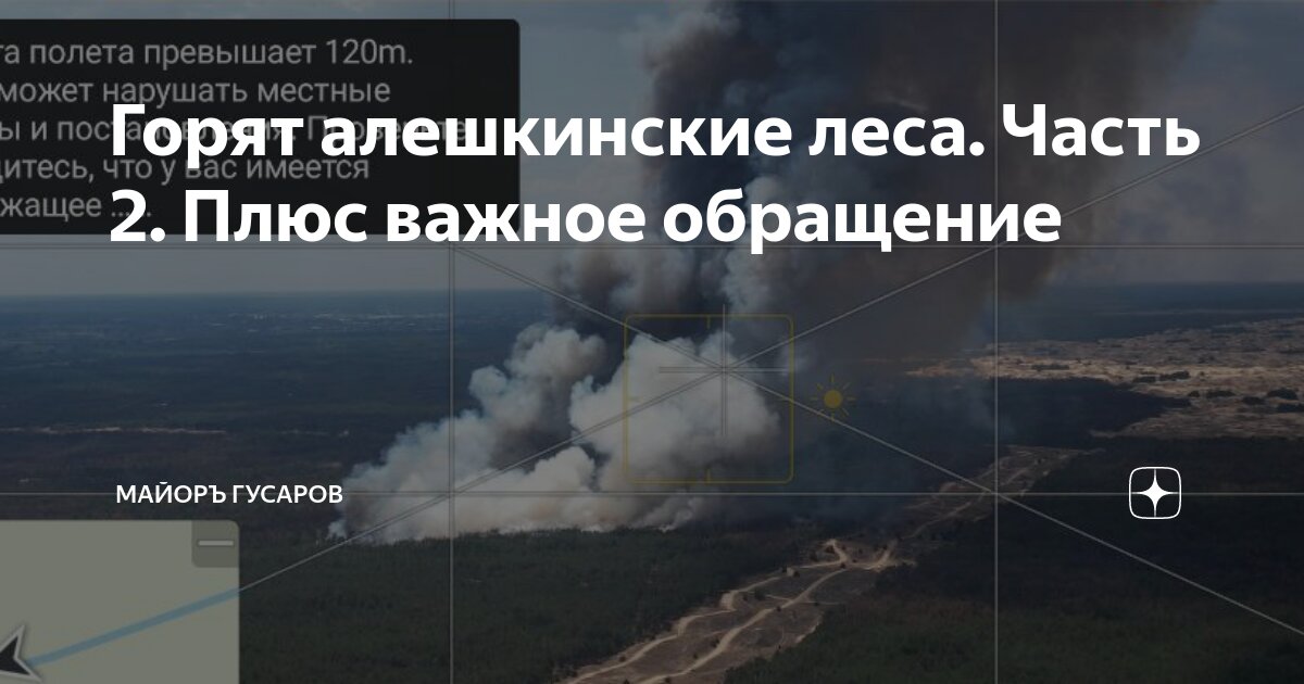 Горят алешкинские леса. Часть 2. Плюс важное обращение | Майоръ Гусаров ...