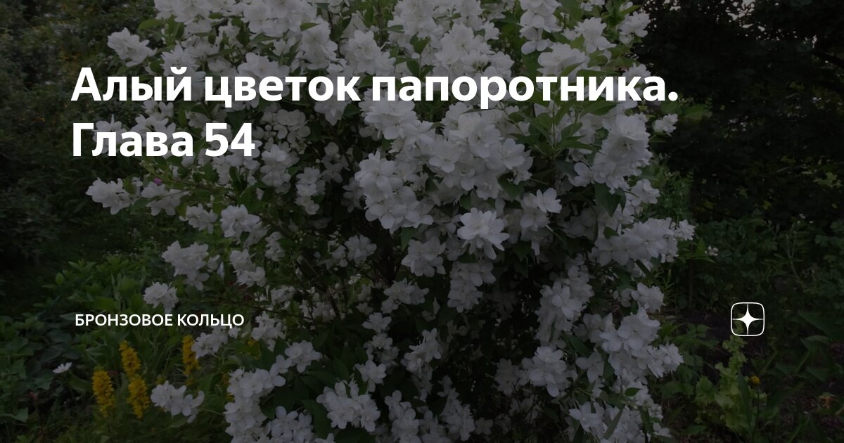 Алый цветок папоротника глава 112 бронзовое кольцо