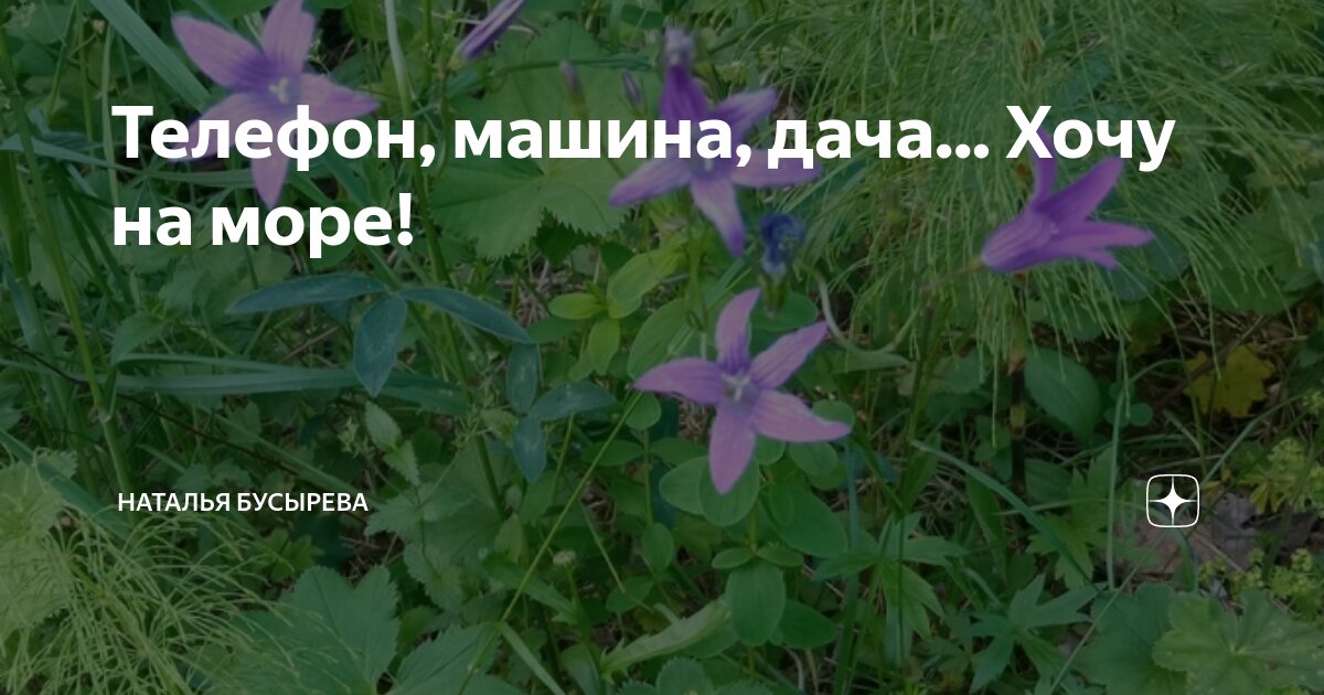 Телефон, машина, дача... Хочу на море! | Наталья Бусырева | Дзен