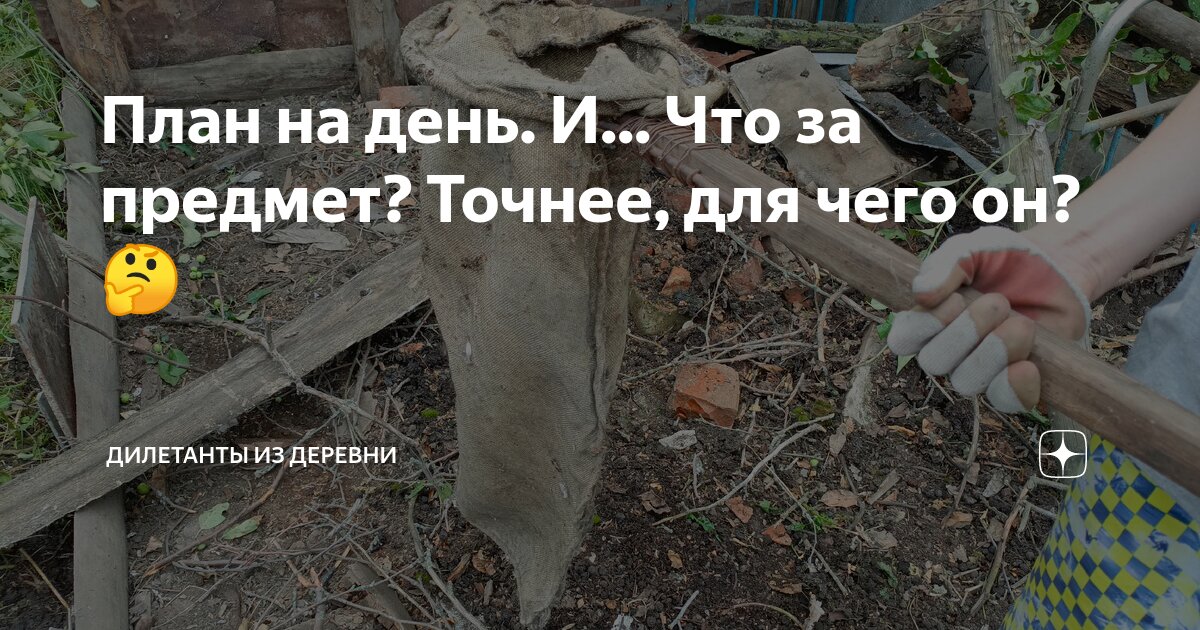 План на день. И... Что за предмет? Точнее, для чего он? 🤔 | Дилетанты ...