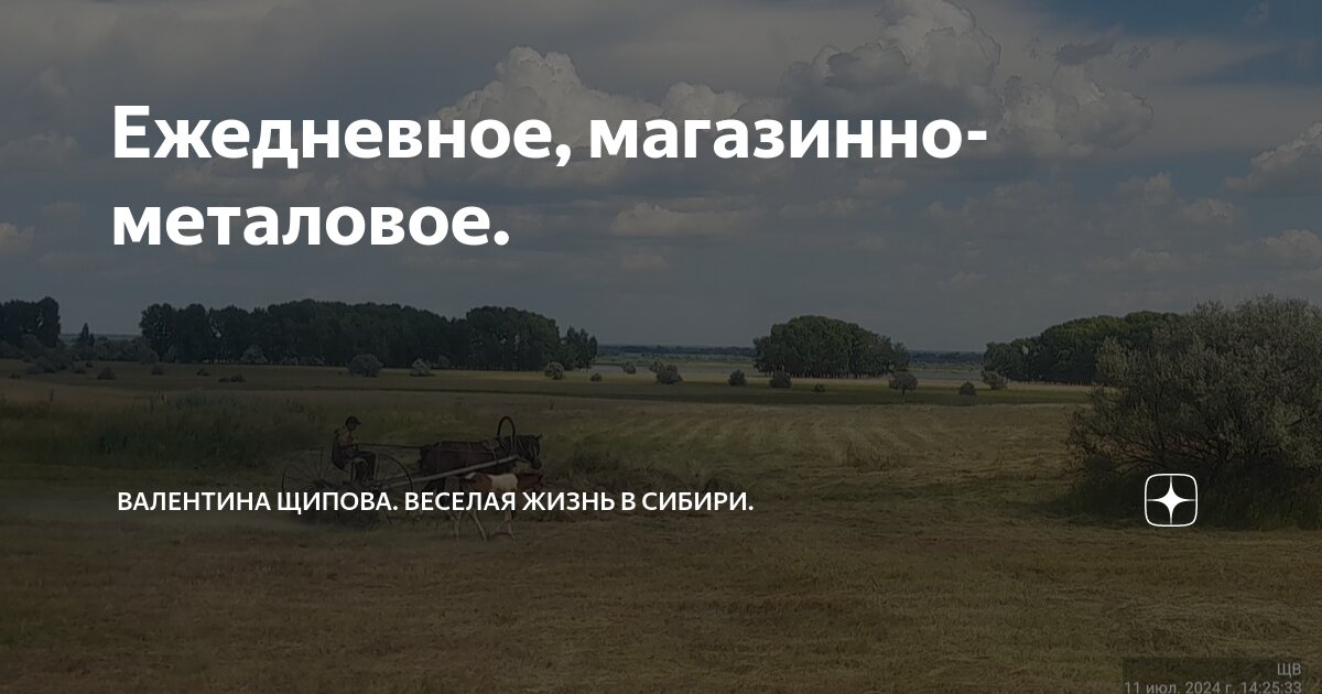 Ежедневное, магазинно-металовое. | Валентина Щипова. Веселая жизнь в ...