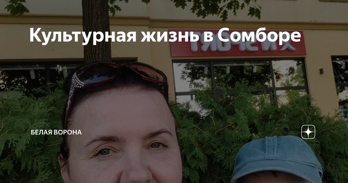 Культурная жизнь в Сомборе | Белая ворона | Дзен
