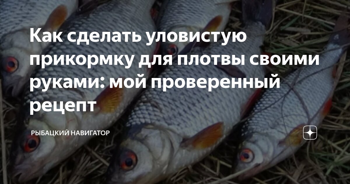 Прикормка своими руками: рецепты для разных видов рыб - FishPortal