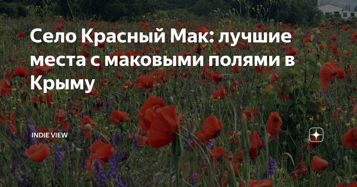 Село Красный Мак: лучшие места с маковыми полями в Крыму | Indie View ...