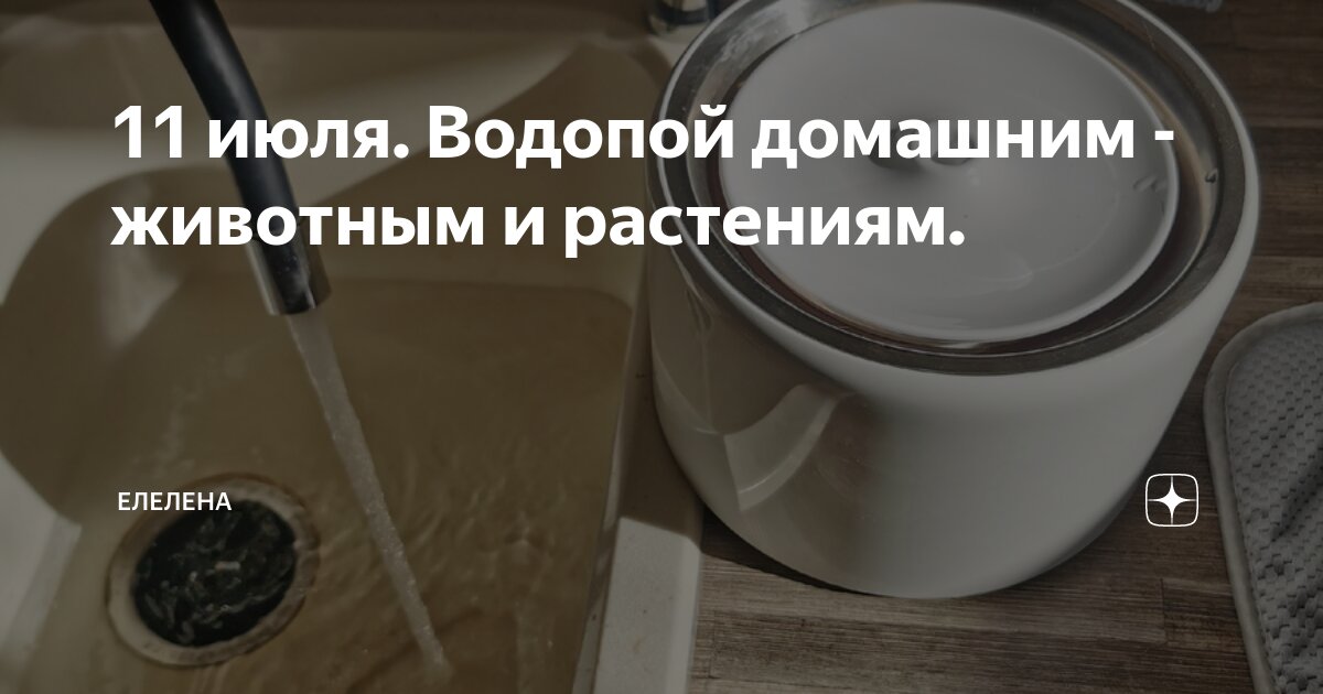 11 июля. Водопой домашним - животным и растениям. | ЕлеЛена | Дзен