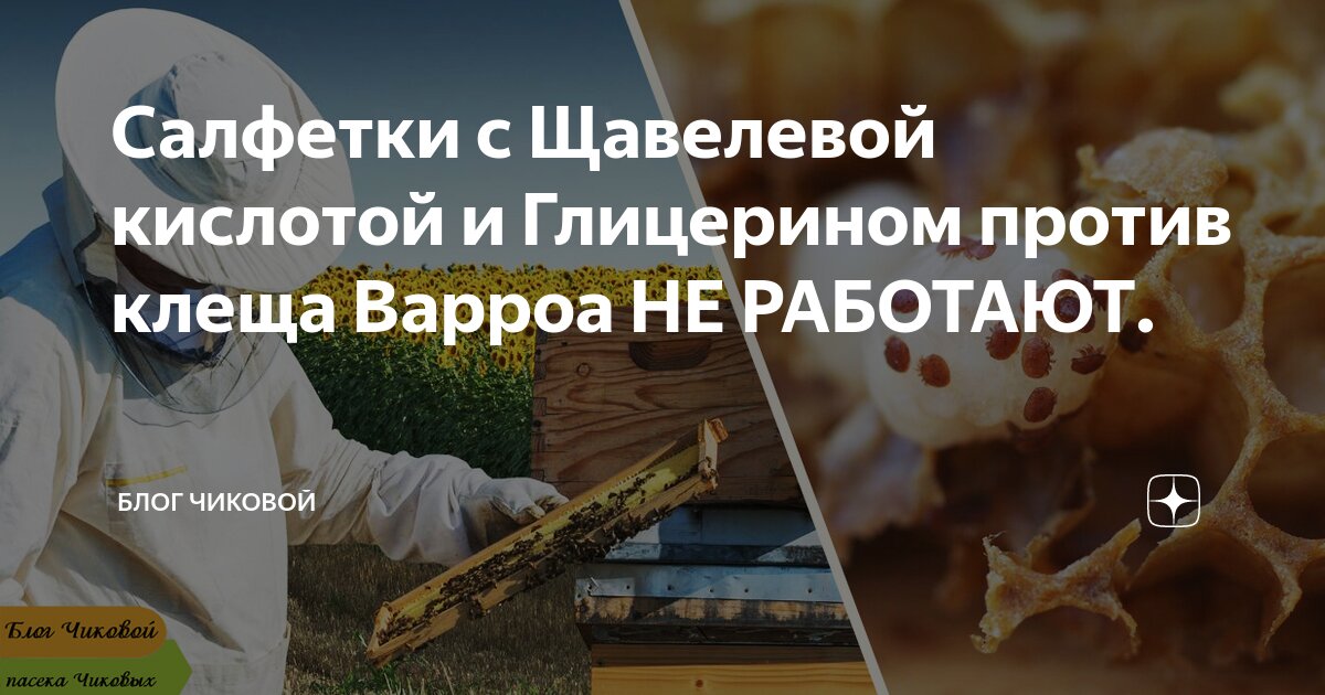 Салфетки с Щавелевой кислотой и Глицерином против клеща Варроа НЕ ...