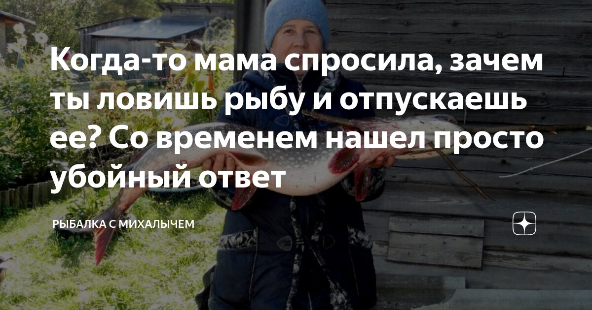 Когда-то мама спросила, зачем ты ловишь рыбу и отпускаешь ее? Со ...