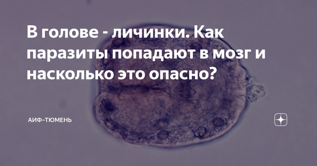 В голове - личинки. Как паразиты попадают в мозг и насколько это опасно?