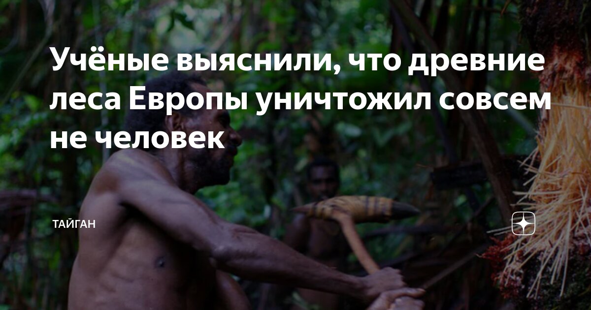 Учёные выяснили, что древние леса Европы уничтожил совсем не человек ...