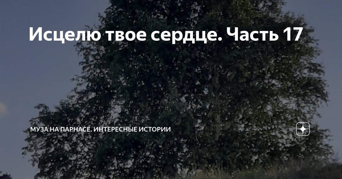 Исцелю твое сердце. Часть 17 | Муза на Парнасе. Интересные истории | Дзен