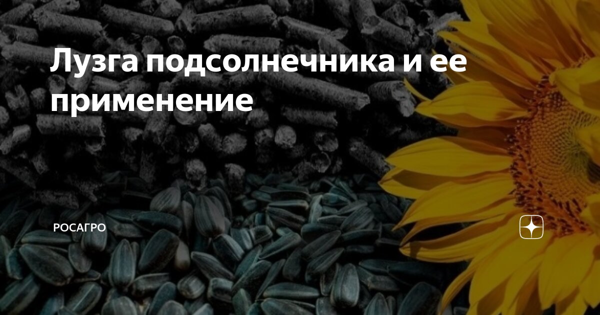 Лузга подсолнечника и ее применение | РосАгро | Дзен