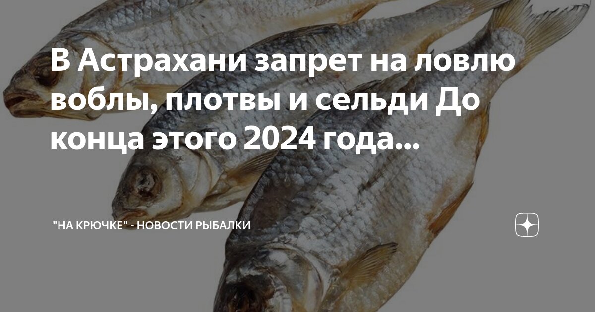 Какие запреты в астрахани на рыбалку. Рыбалка в астрахани март. Ловля селедки в астрахани. Рыбалка в астрахани на воблу. Какие запреты в астрахани на рыбалку.