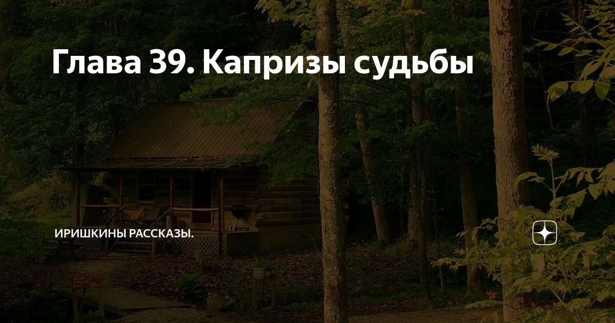 Глава 39. Капризы судьбы | Иришкины рассказы | Дзен