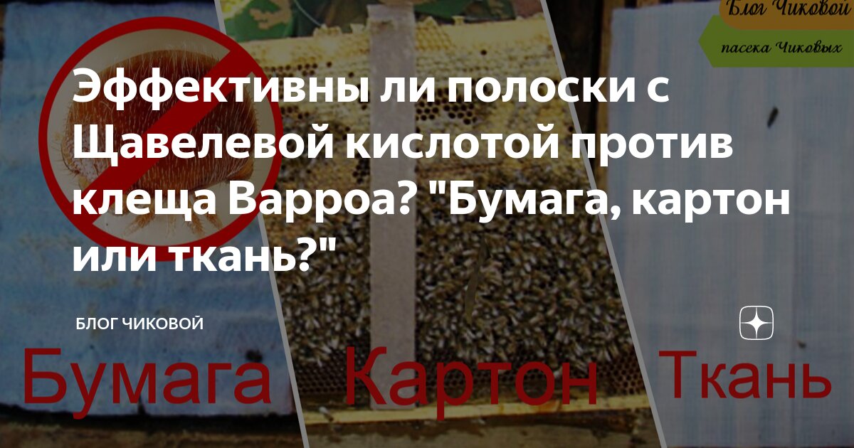 Эффективны ли полоски с Щавелевой кислотой против клеща Варроа? "Бумага ...