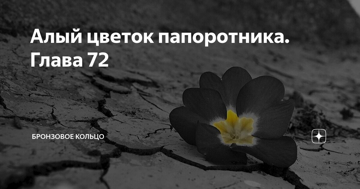 Алый цветок папоротника глава 112 бронзовое кольцо