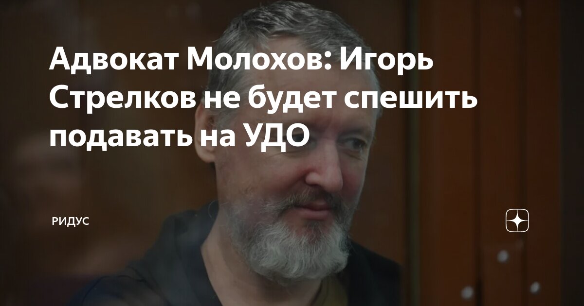 Адвокат Молохов: Игорь Стрелков не будет спешить подавать на УДО ...