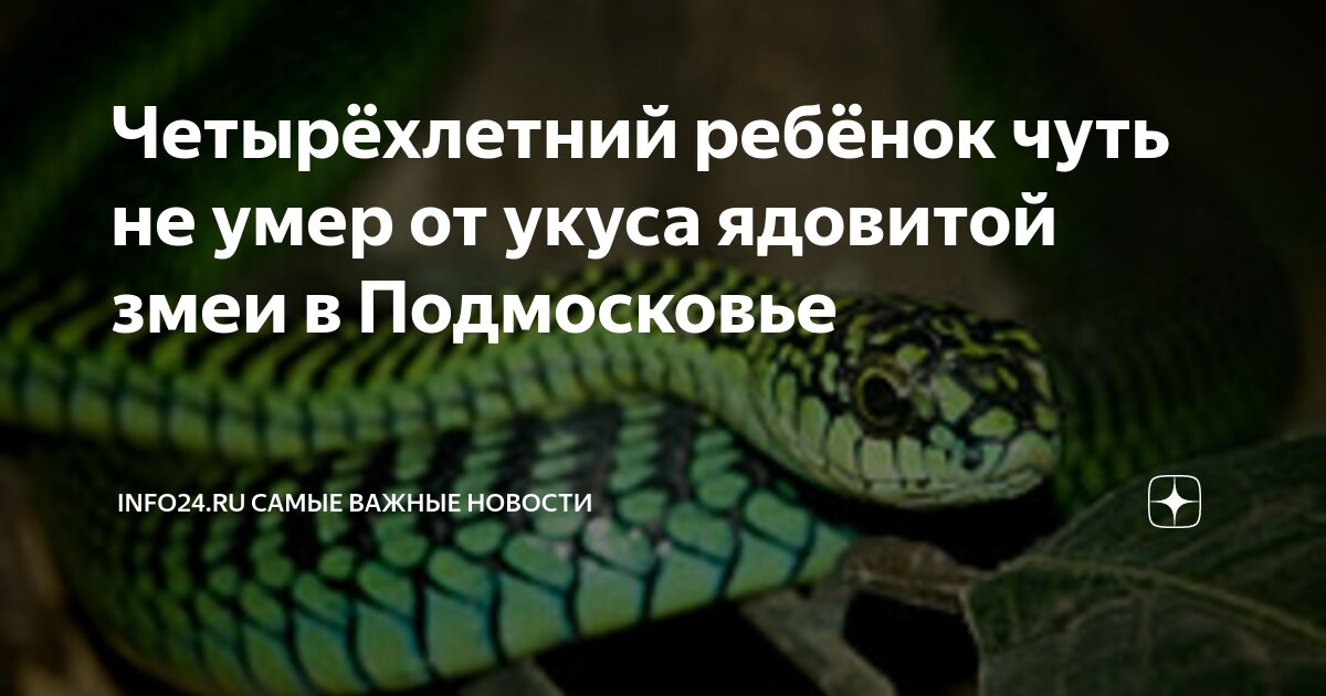 Подпись травникова. Телеграмм канал зеленый змий. Зелёный змий алкоголь картинки. Телеграмм канал зеленый змий. Телеграмм канал зеленый змий.