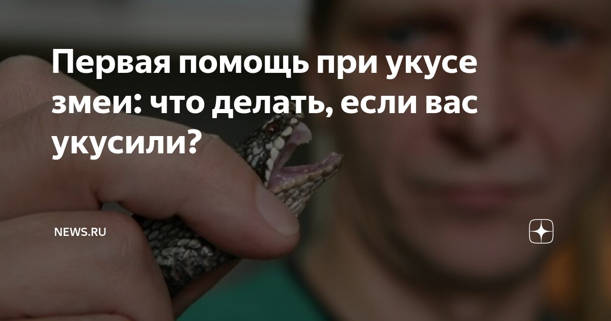 что делать если корову укусили за вымя