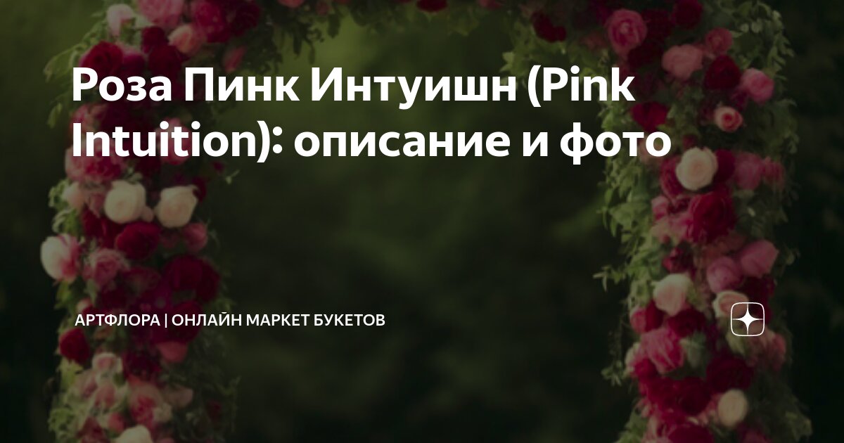 Роза Пинк Интуишн (Pink Intuition): описание и фото | АртФлора | Онлайн ...