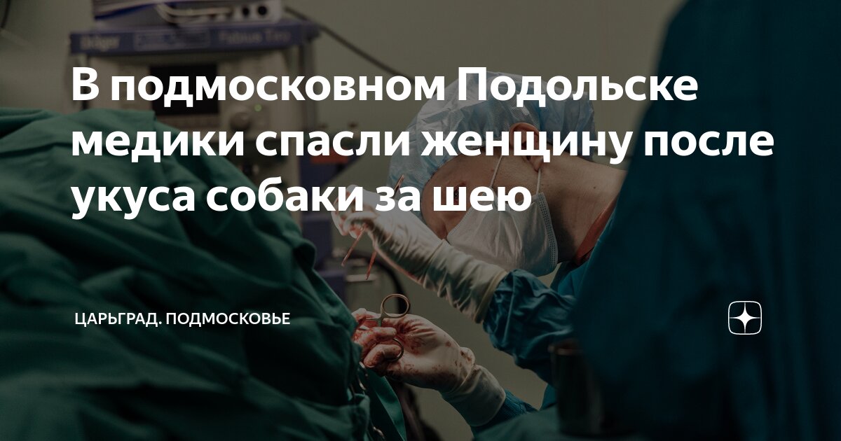 В подмосковном Подольске медики спасли женщину после укуса собаки за