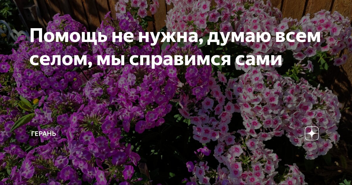 мне не нужна поддержка я сам вывезу весь движ