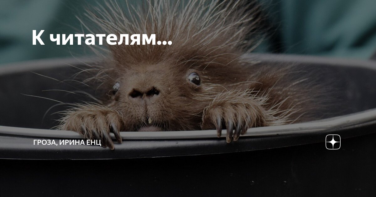 К читателям... | ГРОЗА, ИРИНА ЕНЦ | Дзен
