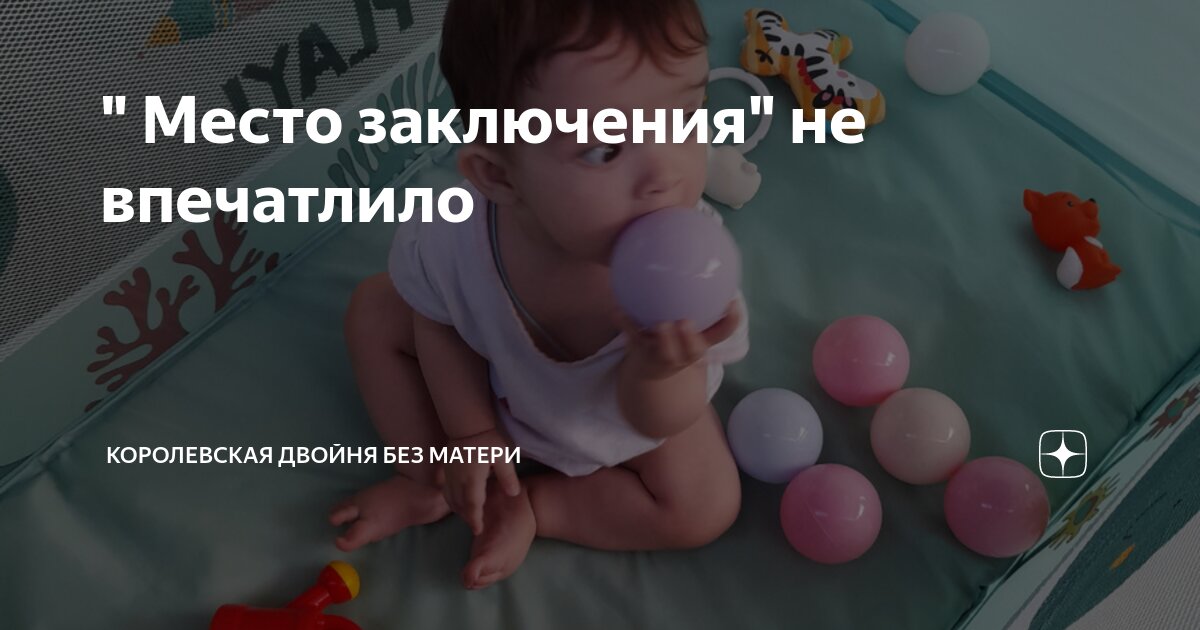 " Место заключения" не впечатлило | Королевская двойня без матери | Дзен