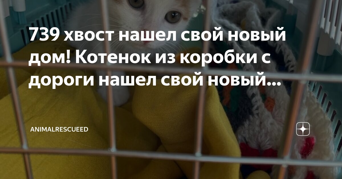 Пикабу animalrescueed