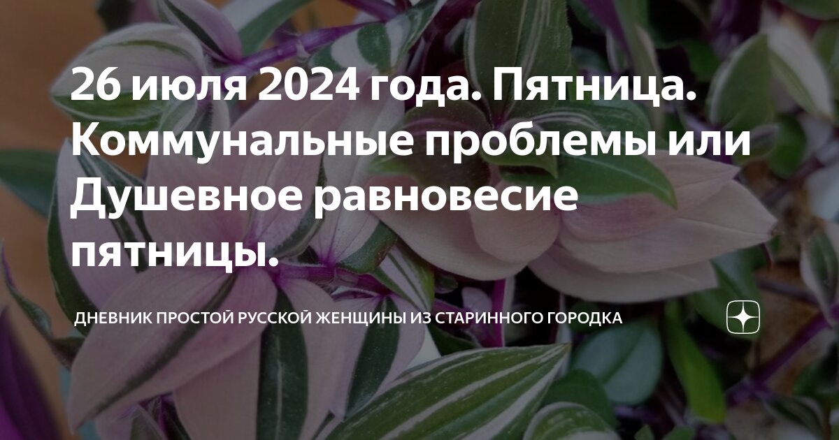 26 июля 2024 года. Пятница. Коммунальные проблемы или Душевное ...