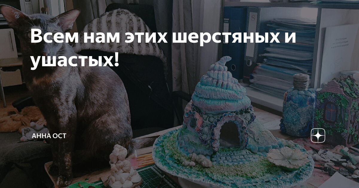 Всем нам этих шерстяных и ушастых! | Анна Ост | Дзен