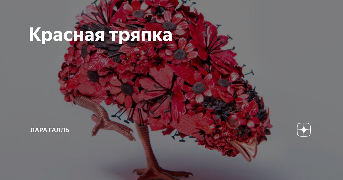 Красная тряпка | Лара Галль | Дзен