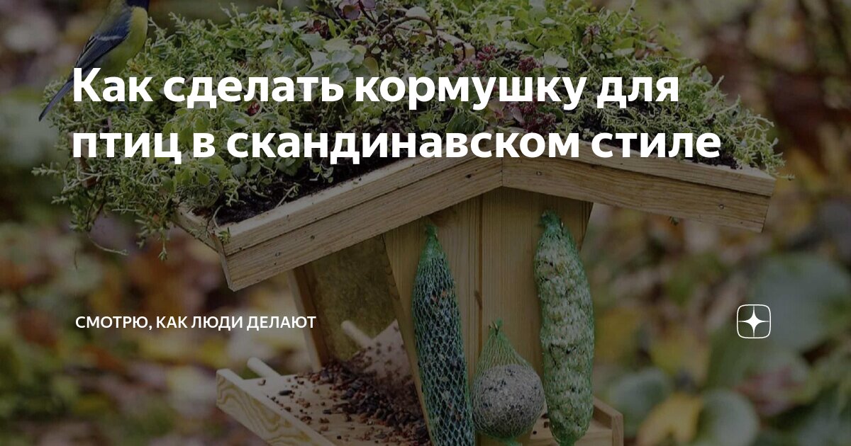 Какая кормушка для пчел лучше