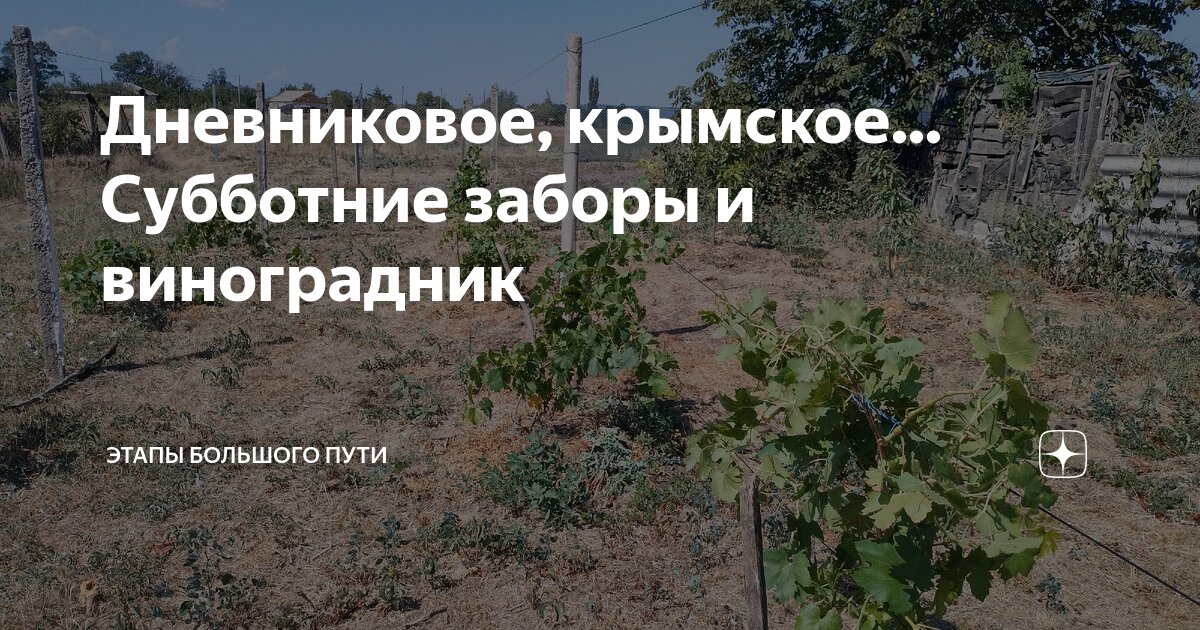 На пути дзен. Стихи о геленджике короткие. Стихи о геленджике короткие. Полезной субботы. Дневниковое крымское этапы большого.