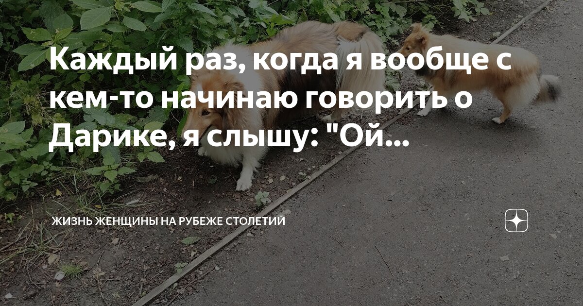 Каждый раз, когда я вообще с кем-то начинаю говорить о Дарике, я слышу ...