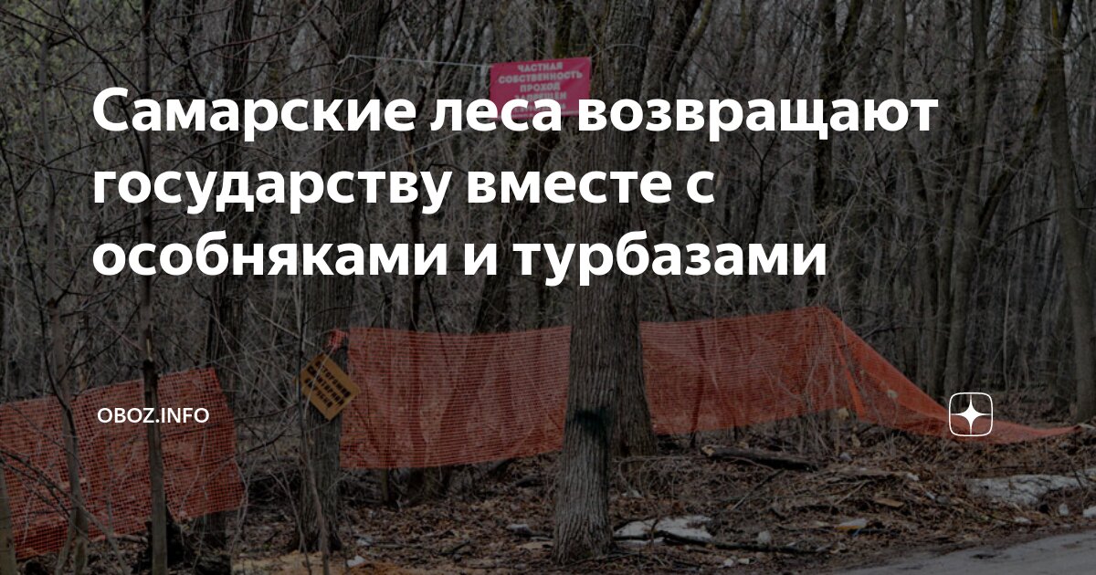 Самарские леса возвращают государству вместе с особняками и турбазами ...