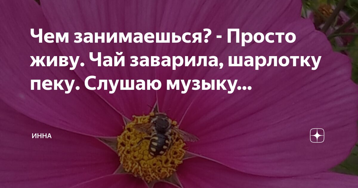 Объятия и чай. Человеку нужен человек стихотворение. А человеку нужен крепкий чай. Проект магия чисел вывод. Стихи про чай.